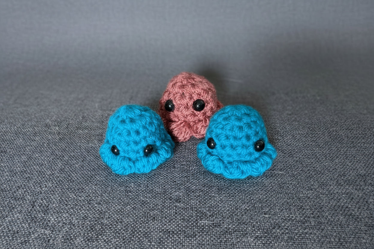 Octopus