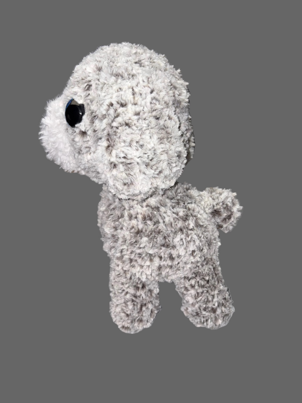 Fluffy dog