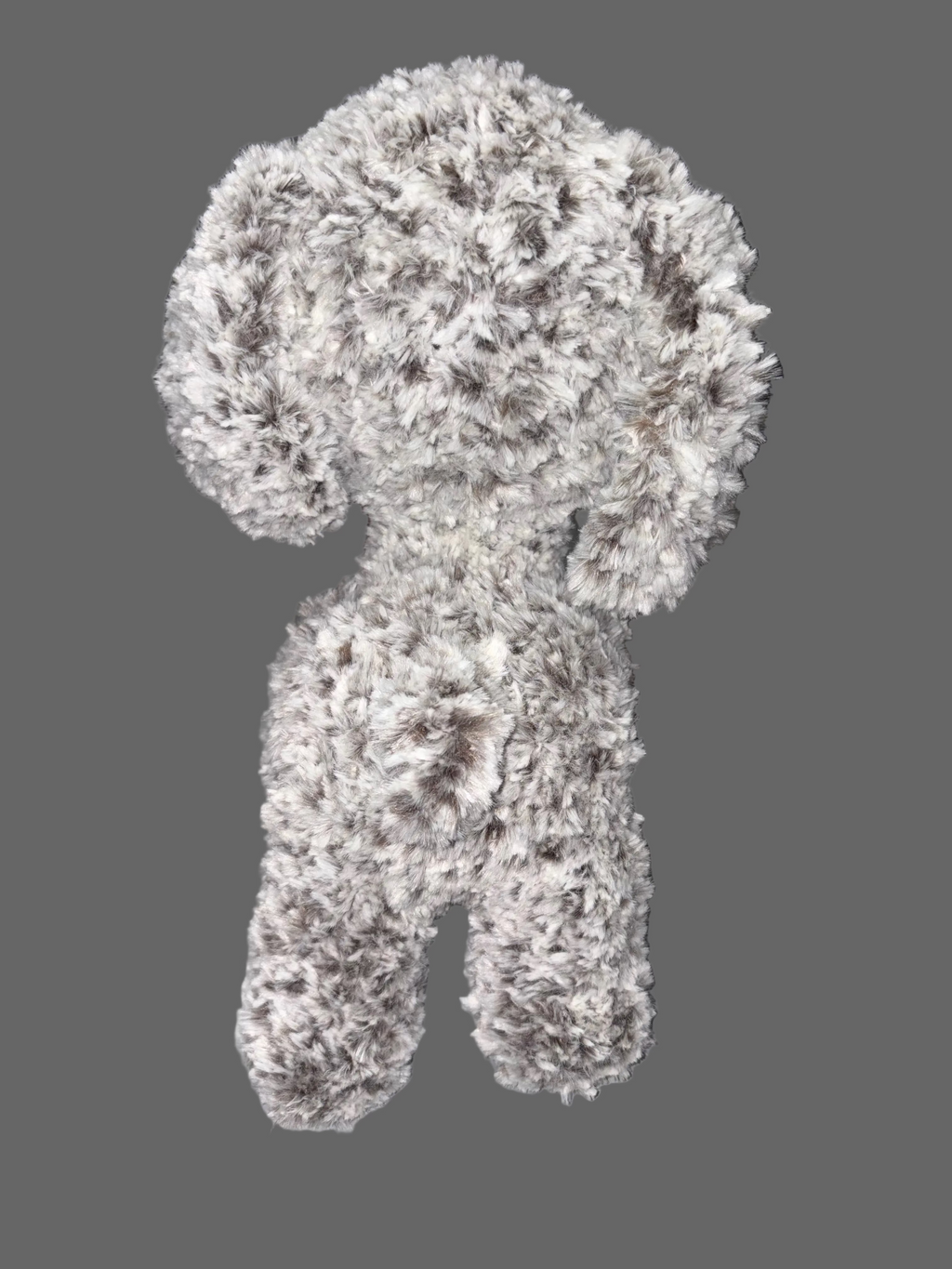 Fluffy dog