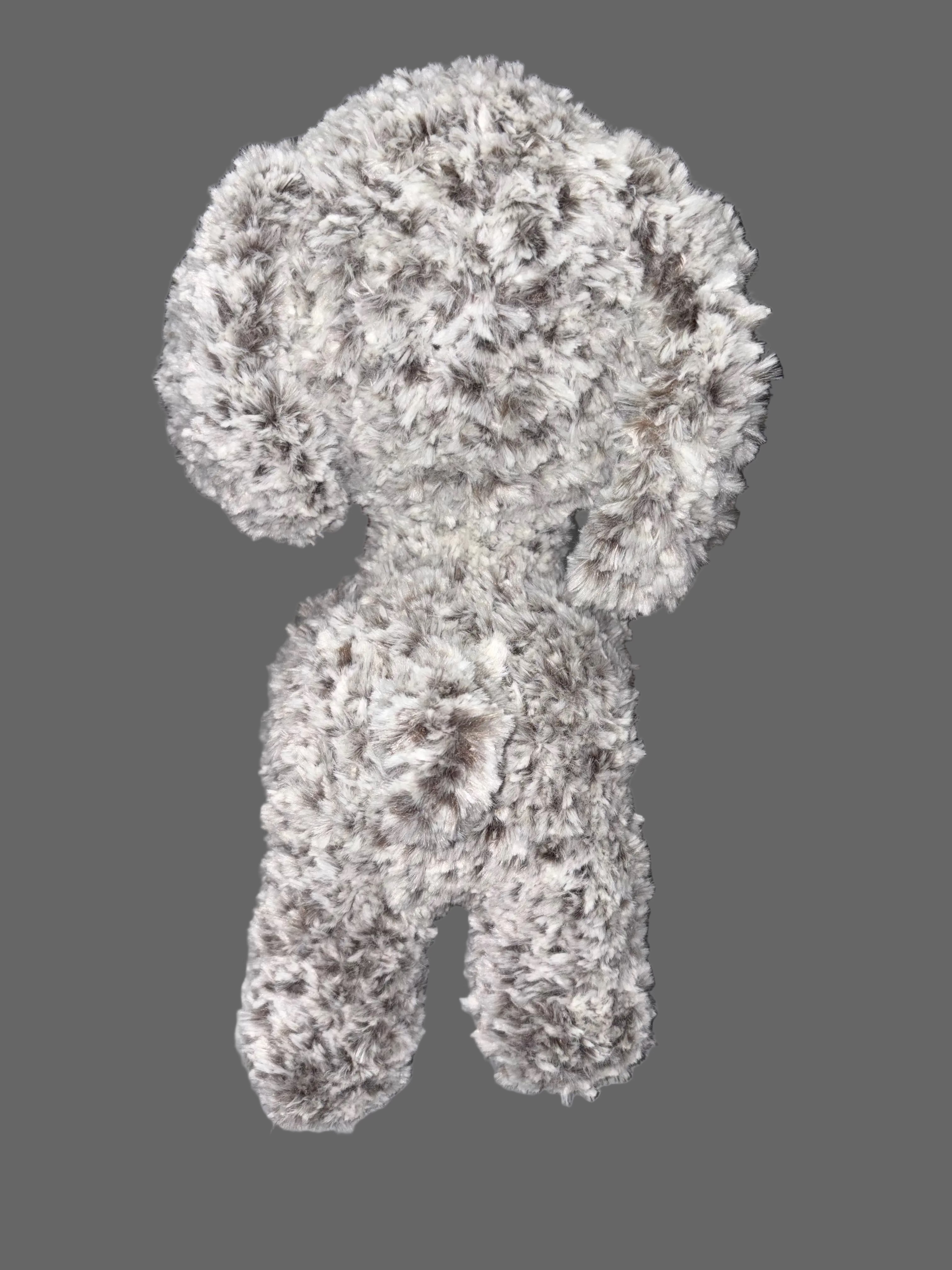 Fluffy dog