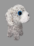 Fluffy dog