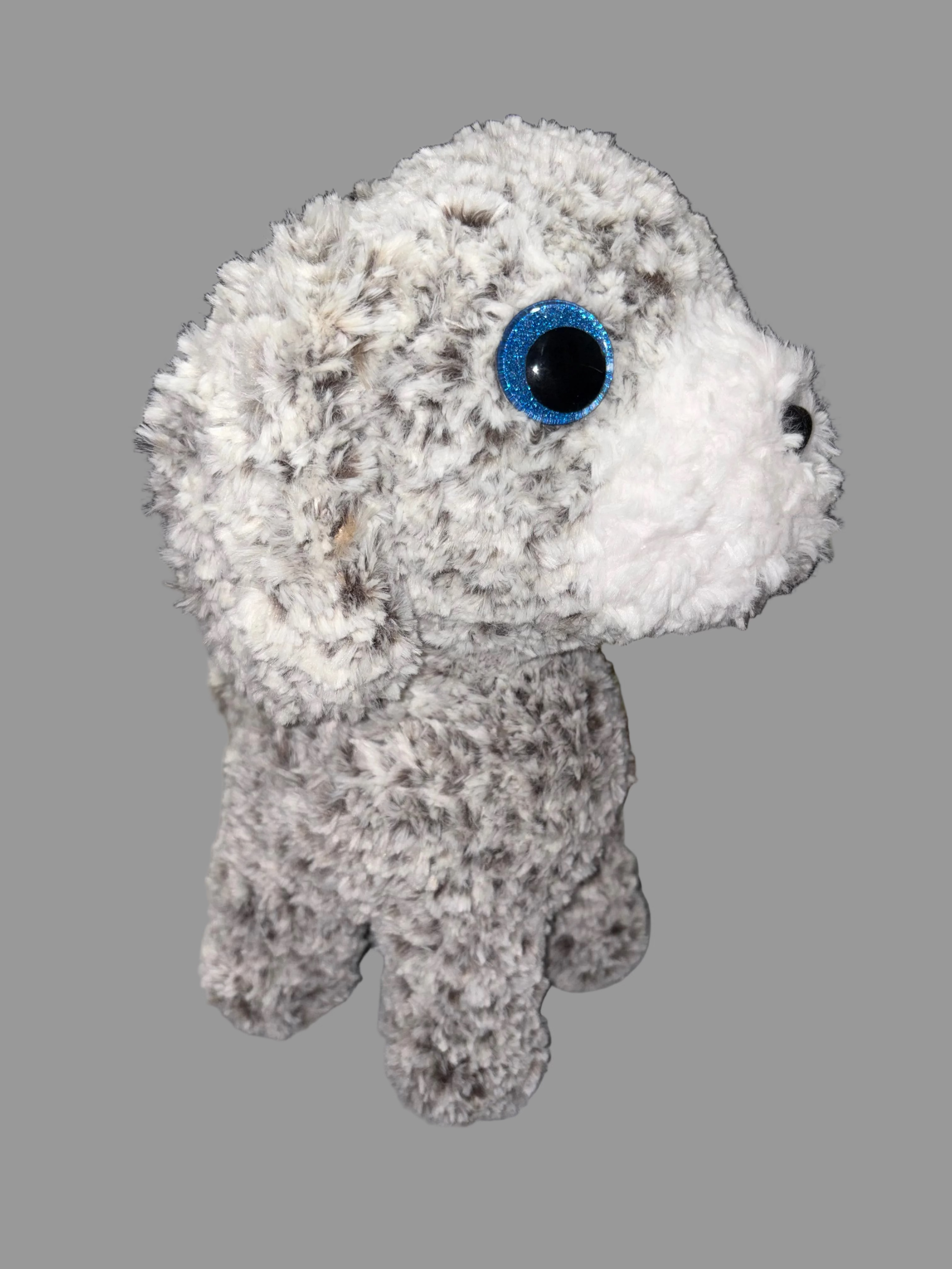Fluffy dog